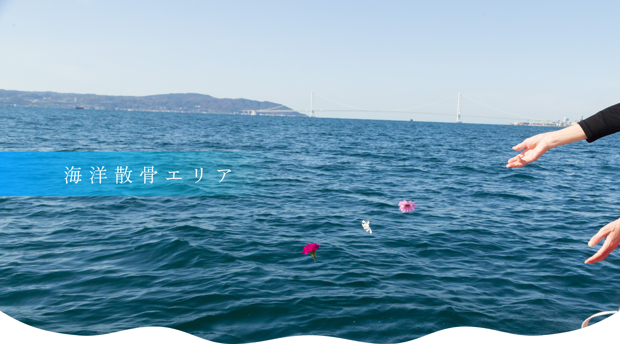 海洋散骨エリア