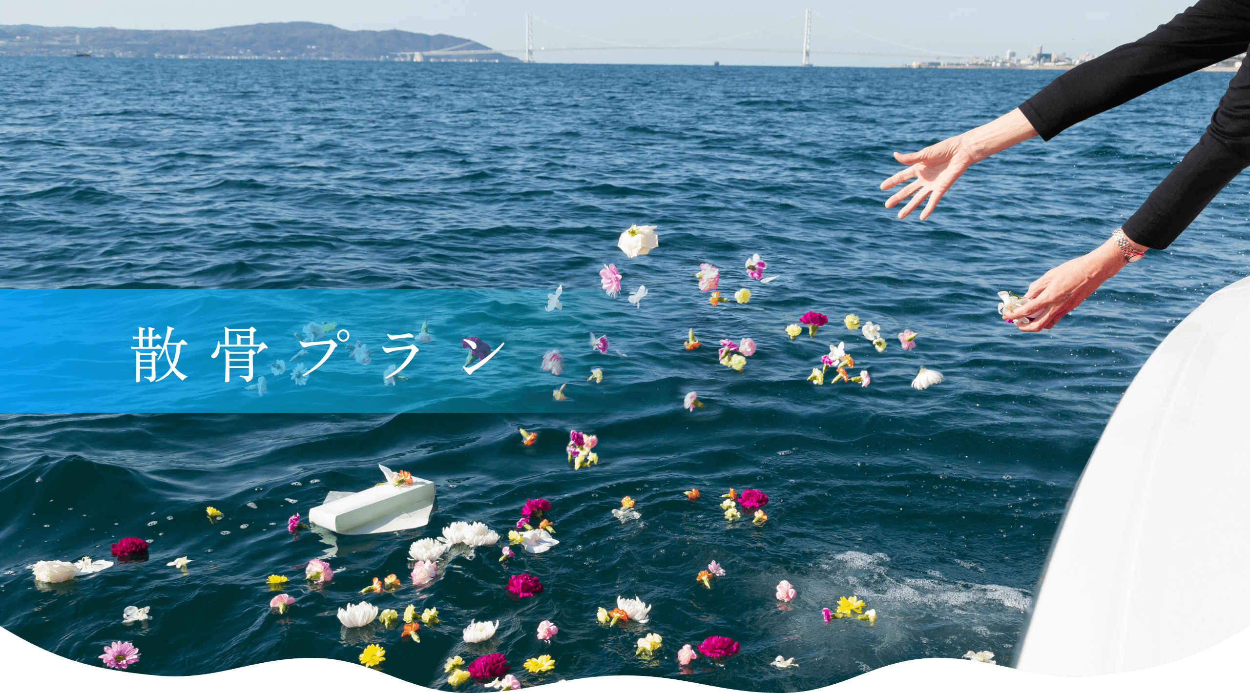 散骨プラン