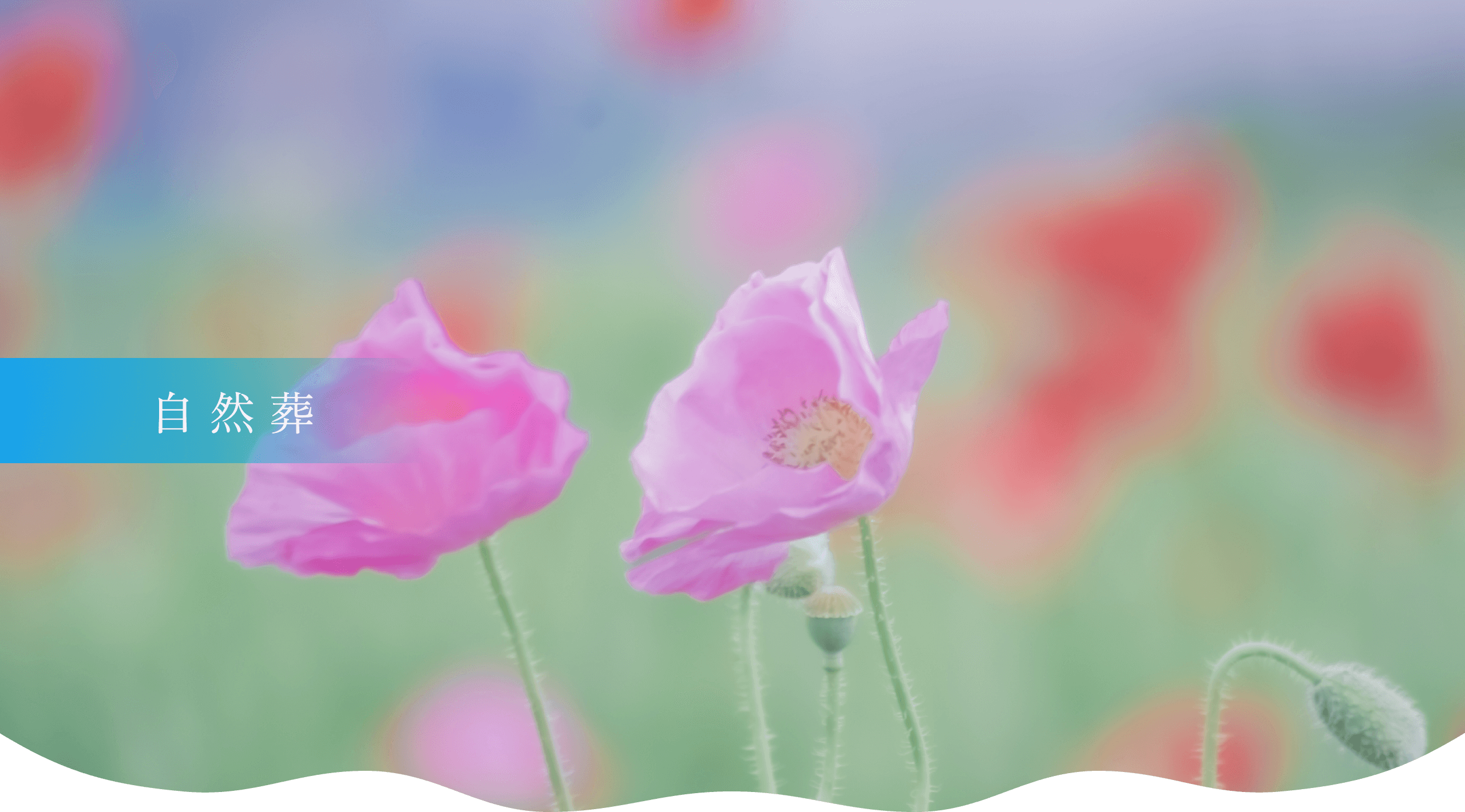 自然葬